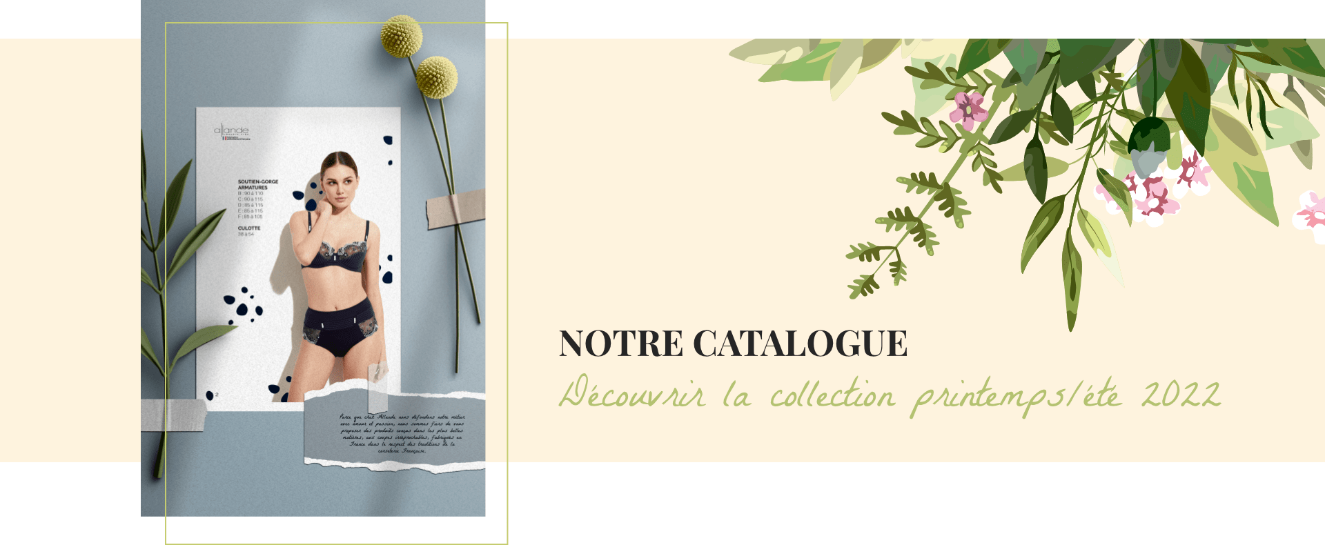 Allande - Découvrir notre catalogue Allande - Découvrir notre catalogue