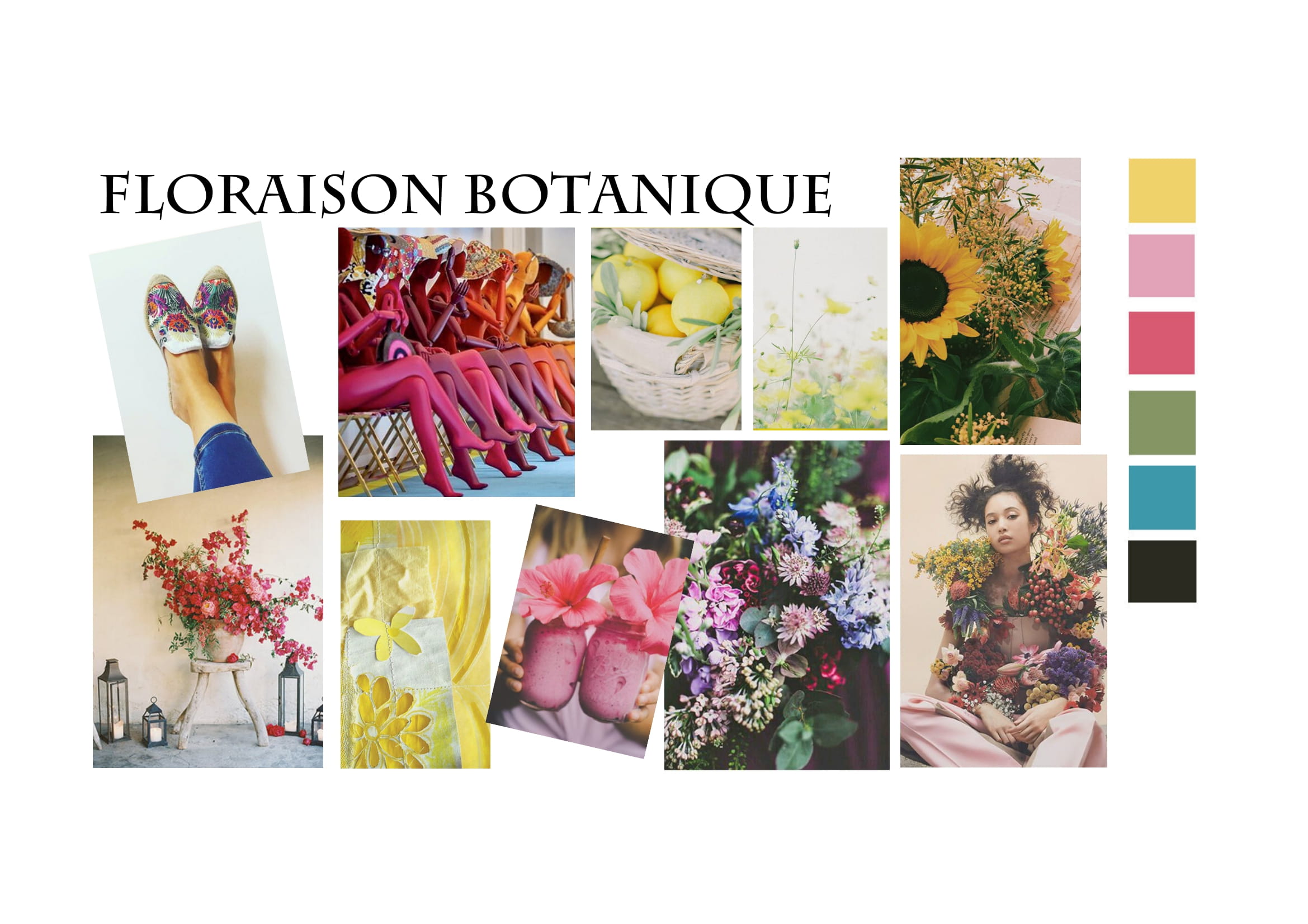 Floraison Botanique Allande : De fil en aiguille